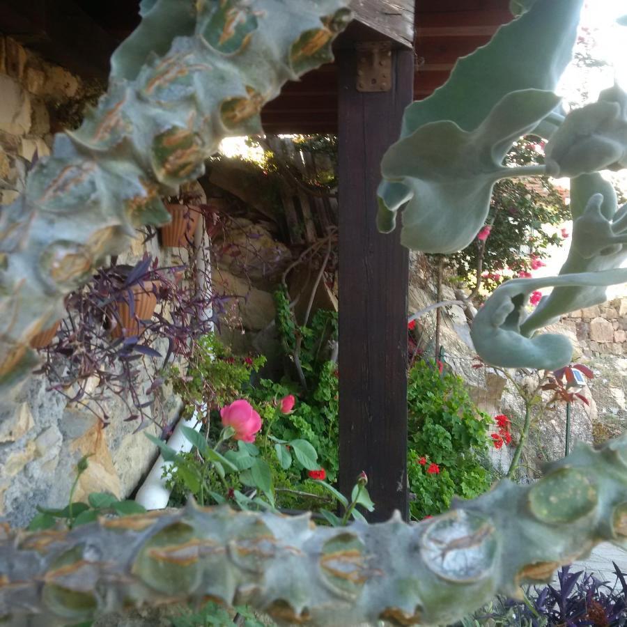B&B La Mimosa del Golfo Ospedaletti Esterno foto